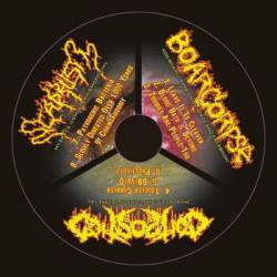 Boarcorpse : Boarcorpse - Composted - Scaphism